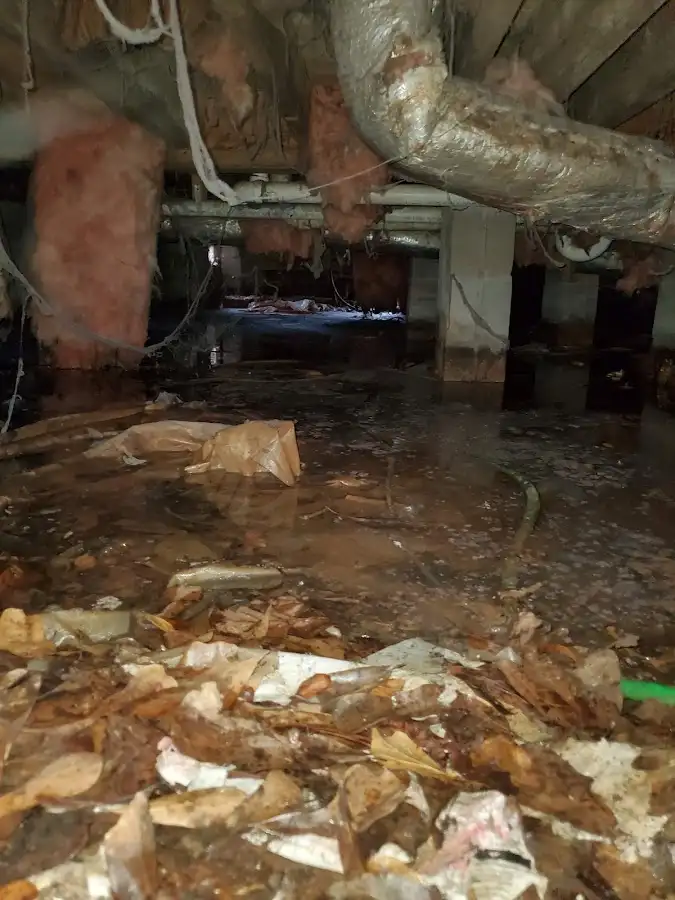Crawl space flood assessment for Leak Detection & Repair in Pocatello
